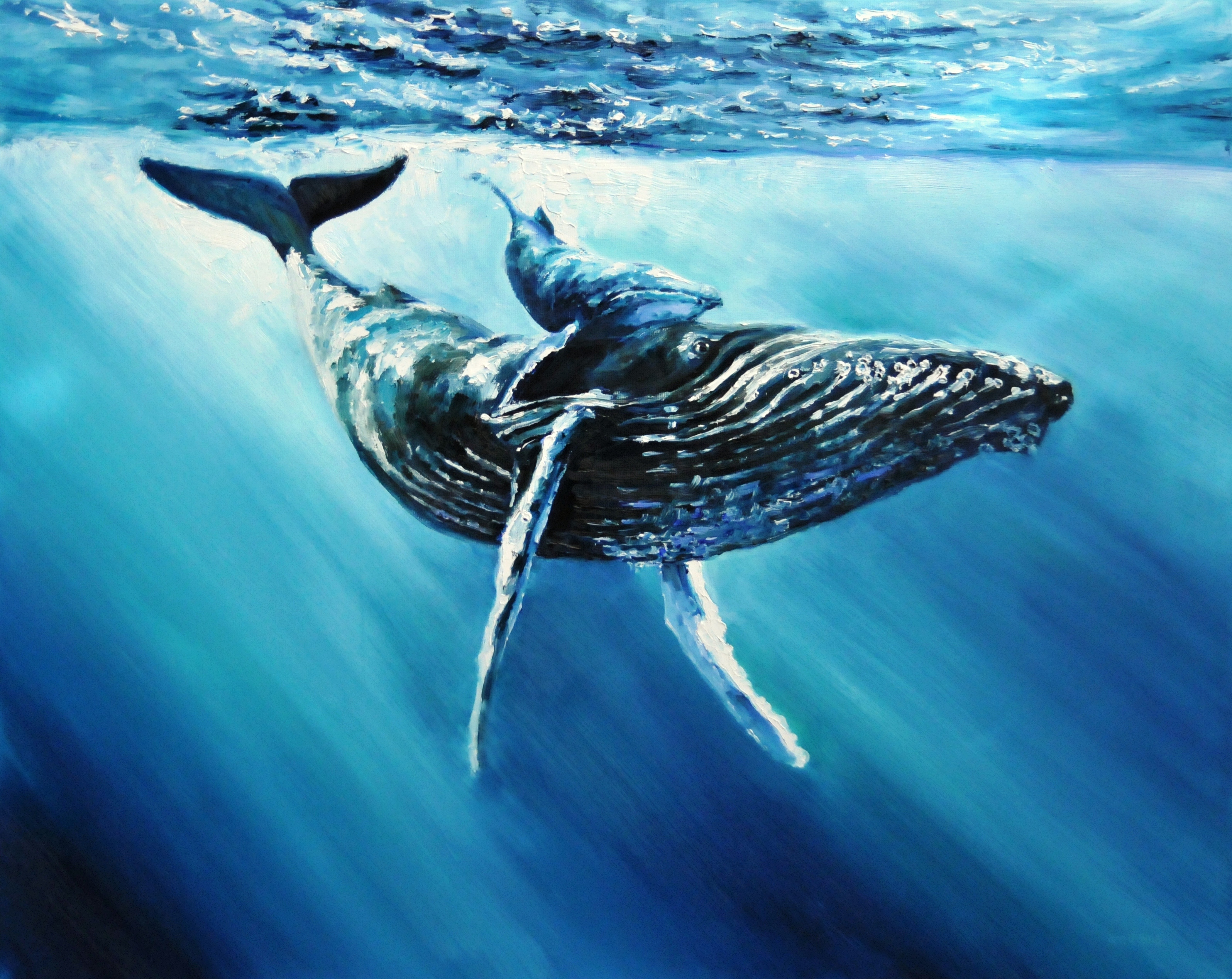 Baleine à bosse et baleineau | Huile sur toile de lin | Année: 2013 | Dimensions: 80x100cm
