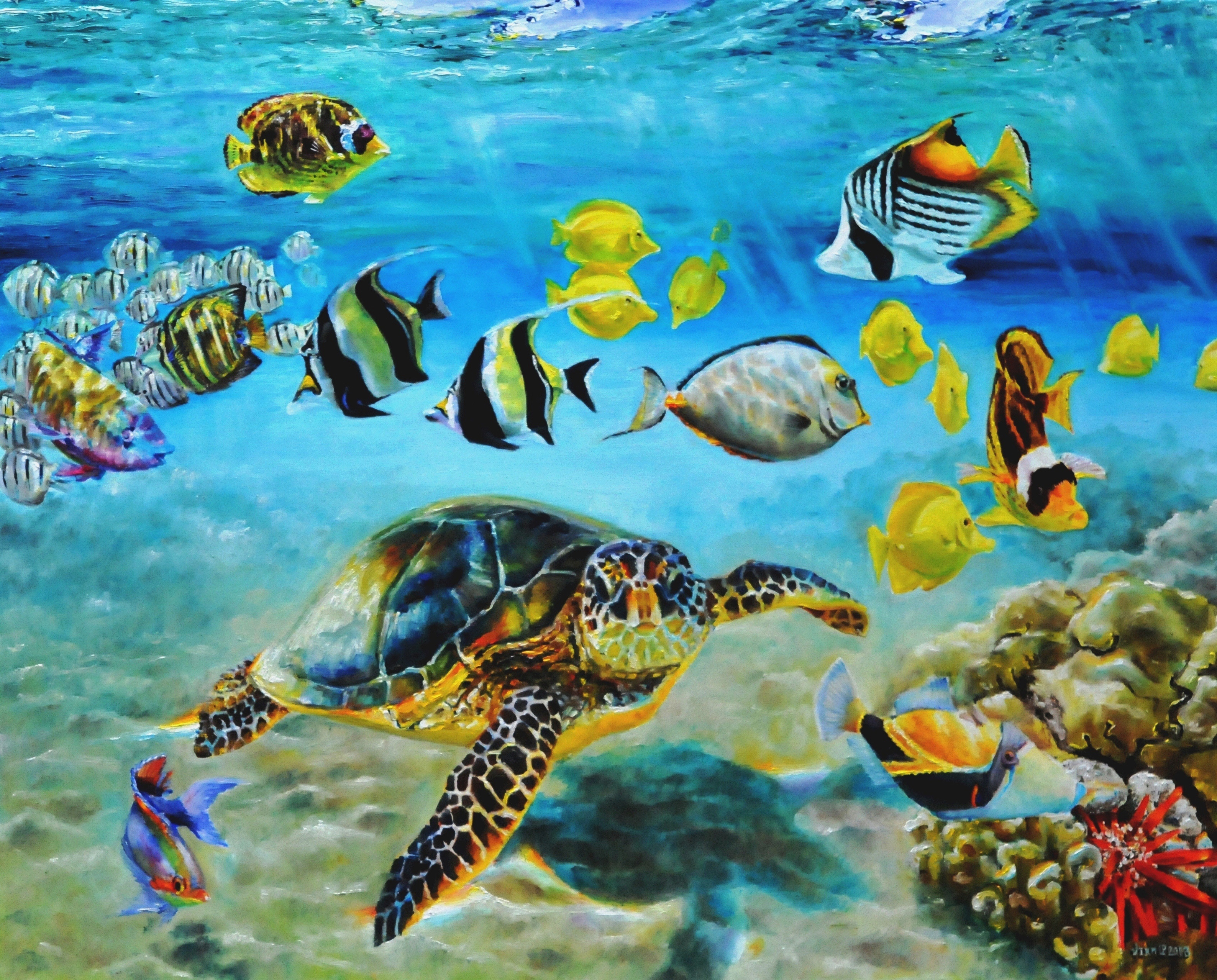 Sea Turtle and Hawaïan reef fish | Oil paint on linen | Year: 2013 | Dimensions: 80x100cm